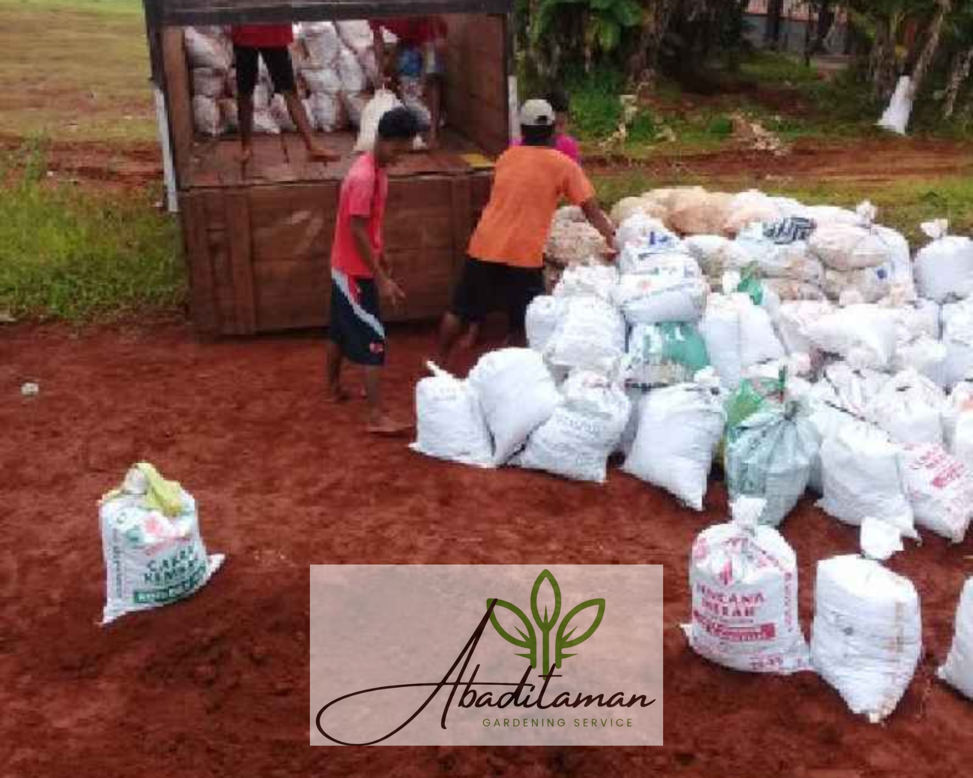 Tukang Taman Jual Tanah Merah